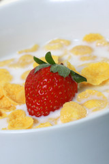 corn flakes