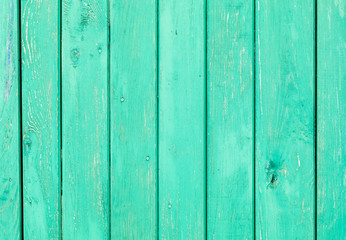 Fototapeta premium The green wood texture with natural patterns