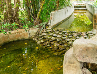 park with canal of hot springs, north of Thailand