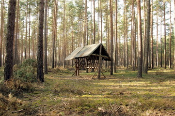 Paśnik.
