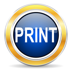 print icon