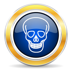 skull icon