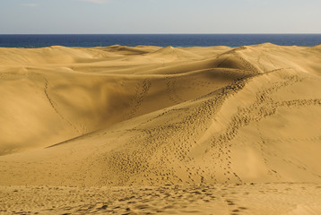 Las Dunas de Maspalomas at Gran Canaria