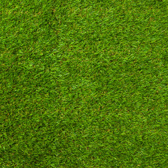 Obraz premium Artificial grass background