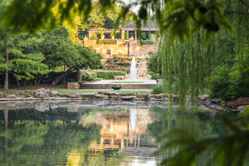 reflections in botanical pond