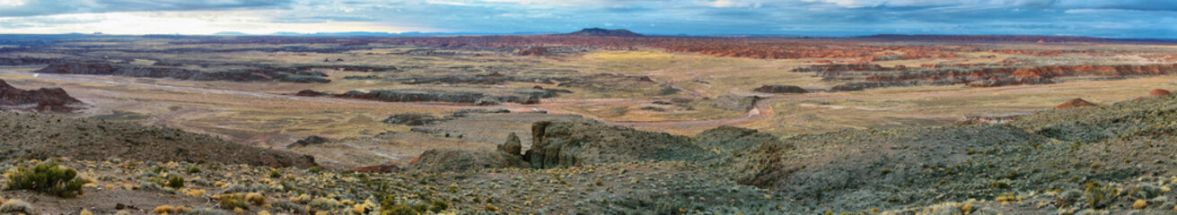 Fototapeta na wymiar Painted Desert, Petrified Forest National Park