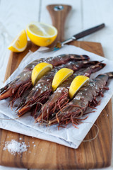 Giant sized tiger king prawns/shrimp