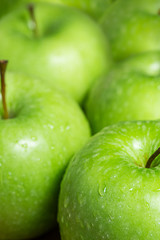 Green apples with water drops.