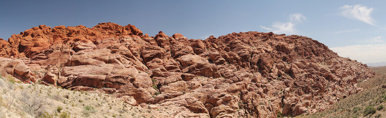 Fototapeta premium Red rock canyon