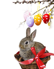 little cute easter rabbit in a basket