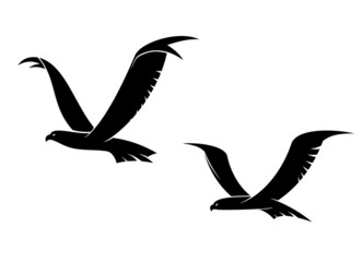 Two flying birds in silhouette