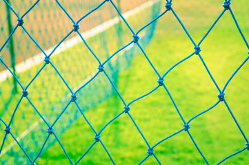 Blue Goal net. Shallow perspective, green grass