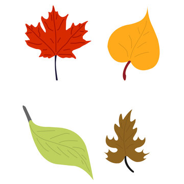 Autumn