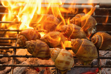 Grilled spotted babylon shell  on flaming in seafood restaurant