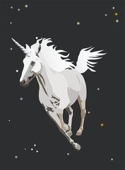 Obraz na płótnie Canvas unicorn galloping in the night sky