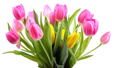 bouquet of tulips isolated on white