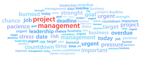 Project Management Word Cloud Vector Illustration