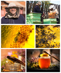 collage honey