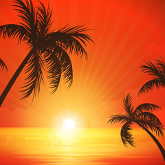 Vector Illustration of a Sunset Background