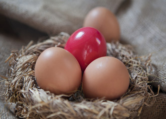 nid et oeufs de p&acirc;ques
