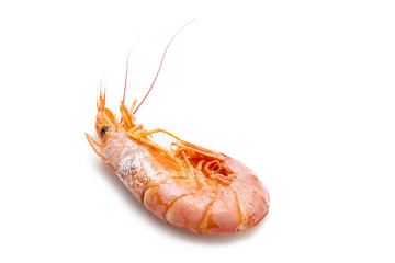 tasty shrimps