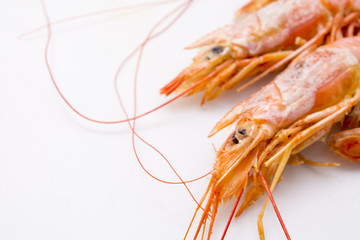 tasty shrimps