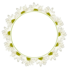 Background with daisy flowers