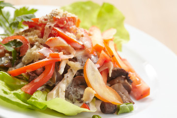 salad with meat
