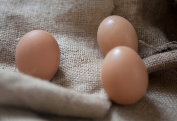 trois oeufs de poule