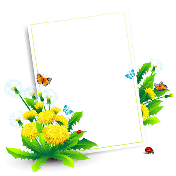 Spring flower vector background