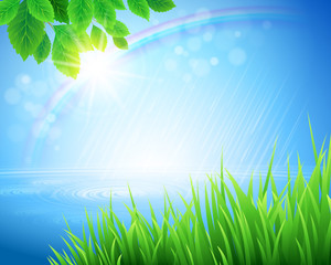 Fototapeta premium Spring grass vector background