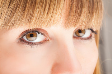 Obraz premium Detail of a woman's eyes