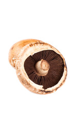 Portabello mushrooms isolated on white close up
