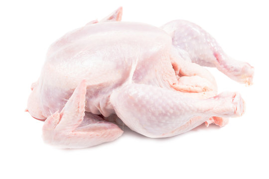 Raw chicken isolated macro