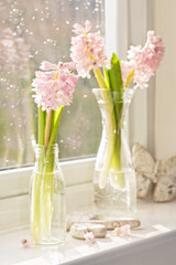 Vases Of Hyacinths