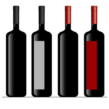 bottle of wine color vector