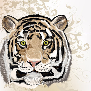 Grunge vector background  with hand drawn watercolor tiger