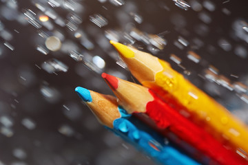 Obraz premium Three color pencils under the rain