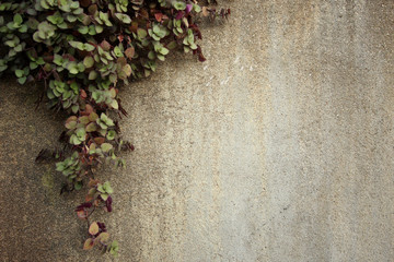 climber on cement wall with space on the right