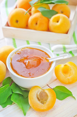 fresh apricots and gam
