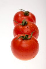 tomatoes