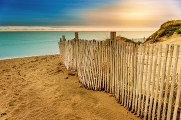 Dunes au bord de la Méditérranée. - obrazy, fototapety, plakaty