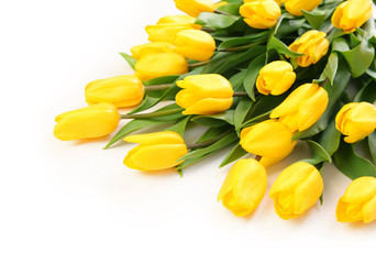 Obraz premium freshness