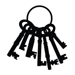 vintage key chain