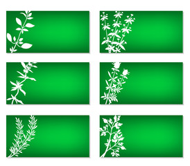 Bright Banners With Herbs Silhouettes