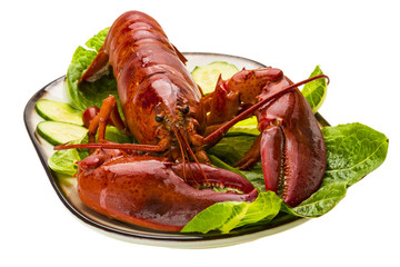 Large Lobster