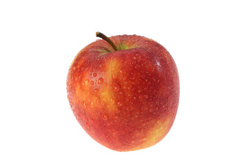 Apples