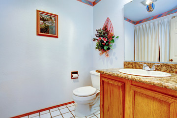 Light blue bathroom. VIew of washbasin cabinet and toilet