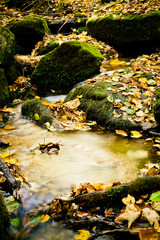 jesienny potok © foxlens