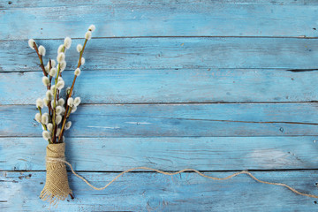 pussy willow twigs on wood background - obrazy, fototapety, plakaty
